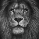Profilepicture