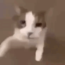 nap