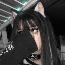 StellFire Discord avatar