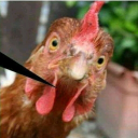 kenjy