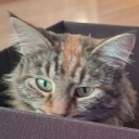 Eddi