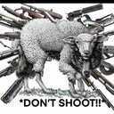 Don’t shoot