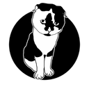 Avatar for Arne