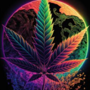 420