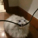 <=TM=>Narko