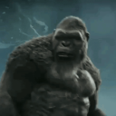 ✦☠『B⛧TCHERS』☠✦ KingKong