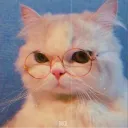 [Fake] Cat avatar